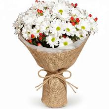 Букет цветов из:  Хризантемы #REPLACE_PRED# Федорково